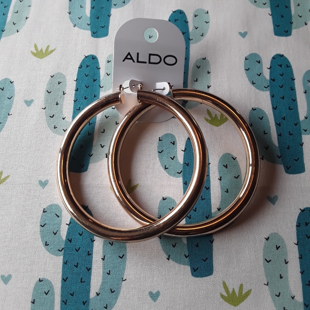 ALDO EARRINGS